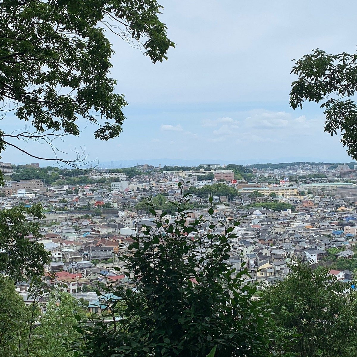 🏯 에보시 모양 공원 (에보시가타 코엔) 이미지 5
